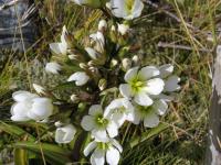 Albums/20060200-New Zealand 2006/20060317-Cook/37